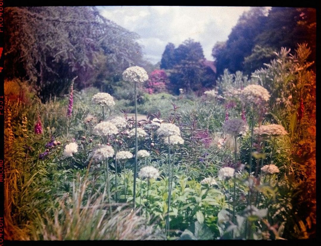Jardin Harmonie 5